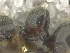  ( - MACN-bar-ins-ct 08625)  @12 [ ] Copyright (2019) Pablo L. Tubaro MACN