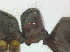  ( - MACN-bar-ins-ct 08632)  @12 [ ] Copyright (2019) Pablo L. Tubaro MACN