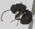 ( - MACN-Bar-Ins-5574)  @11 [ ] Copyright (2014) MACN Museo Argentino de Ciencias Naturales 'Bernardo Rivadavia'