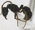 ( - MACN-Bar-Ins-5577)  @13 [ ] Copyright (2014) MACN Museo Argentino de Ciencias Naturales 'Bernardo Rivadavia'