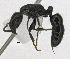  ( - MACN-Bar-Ins-5586)  @13 [ ] Copyright (2014) MACN Museo Argentino de Ciencias Naturales 'Bernardo Rivadavia'