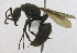  ( - MACN-Bar-Ins-5597)  @14 [ ] Copyright (2014) MACN Museo Argentino de Ciencias Naturales 'Bernardo Rivadavia'