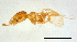  ( - ww16062)  @12 [ ] CreativeCommons - Attribution Non-Commercial Share-Alike (2012) Holger Loecker Orange Agricultural Institute, NSW DPI