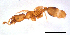  ( - ww16170)  @11 [ ] CreativeCommons - Attribution Non-Commercial Share-Alike (2012) Holger Loecker Orange Agricultural Institute, NSW DPI