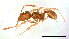  ( - ww16181)  @11 [ ] CreativeCommons - Attribution Non-Commercial Share-Alike (2012) Holger Loecker Orange Agricultural Institute, NSW DPI