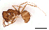  ( - ww16190)  @11 [ ] CreativeCommons - Attribution Non-Commercial Share-Alike (2012) Holger Loecker Orange Agricultural Institute, NSW DPI