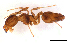  ( - ww16218)  @11 [ ] CreativeCommons - Attribution Non-Commercial Share-Alike (2012) Holger Loecker Orange Agricultural Institute, NSW DPI