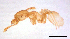  ( - ww16248)  @13 [ ] CreativeCommons - Attribution Non-Commercial Share-Alike (2012) Holger Loecker Orange Agricultural Institute, NSW DPI