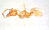  ( - ww16249)  @11 [ ] CreativeCommons - Attribution Non-Commercial Share-Alike (2012) Holger Loecker Orange Agricultural Institute, NSW DPI