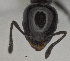  ( - MACN-bar-ins-ct 06909)  @12 [ ] CreativeCommons - Attribution Share-Alike (2016) Unspecified Museo Argentino de Ciencias Naturales, Bernardino Rivadavia