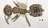  ( - MACN-Bar-Ins-ct 06838)  @12 [ ] CreativeCommons - Attribution Share-Alike (2016) Unspecified Museo Argentino de Ciencias Naturales, Bernardino Rivadavia