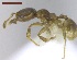  ( - MACN-Bar-Ins-ct 02881)  @12 [ ] Copyright (2013) MACN Museo Argentino de Ciencias Naturales "Bernardino Rivadavia"