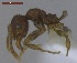 ( - MACN-Bar-Ins-ct 02885)  @12 [ ] Copyright (2013) MACN Museo Argentino de Ciencias Naturales "Bernardino Rivadavia"