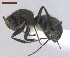  ( - MACN-Bar-Ins-ct 02894)  @13 [ ] Copyright (2013) MACN Museo Argentino de Ciencias Naturales "Bernardino Rivadavia"