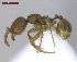  ( - MACN-Bar-Ins-ct 02897)  @13 [ ] Copyright (2013) MACN Museo Argentino de Ciencias Naturales "Bernardino Rivadavia"