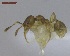  ( - MACN-Bar-Ins-ct 02903)  @12 [ ] Copyright (2013) MACN Museo Argentino de Ciencias Naturales "Bernardino Rivadavia"