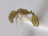  ( - T1W32008PNIB02)  @11 [ ] Copyright (2013) MACN Museo Argentino de Ciencias Naturales "Bernardino Rivadavia"