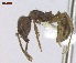  ( - T5S4m2009PNIC01)  @13 [ ] Copyright (2013) MACN Museo Argentino de Ciencias Naturales "Bernardino Rivadavia"