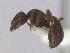  ( - T6S8a2009PNIE09)  @11 [ ] Copyright (2013) MACN Museo Argentino de Ciencias Naturales "Bernardino Rivadavia"