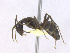  ( - T1P12008PNIF01)  @11 [ ] Copyright (2013) MACN Museo Argentino de Ciencias Naturales "Bernardino Rivadavia"