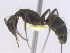  ( - T1P32008PNIF07)  @11 [ ] Copyright (2013) MACN Museo Argentino de Ciencias Naturales "Bernardino Rivadavia"