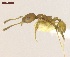  ( - MACN-Bar-Ins-ct 05080)  @13 [ ] Copyright (2013) MACN Museo Argentino de Ciencias Naturales "Bernardino Rivadavia"