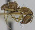  ( - MACN-bar-ins-ct 06960)  @11 [ ] Copyright (2015) MACN Museo Argentino de Ciencias Naturales "Bernardino Rivadavia"