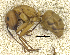  ( - MACN-bar-ins-ct 07033)  @14 [ ] Copyright (2015) MACN Museo Argentino de Ciencias Naturales "Bernardino Rivadavia"