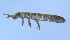  ( - ANT086)  @13 [ ] Copyright (2008) Unspecified University of Waikato