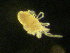  ( - ANT018)  @11 [ ] Unspecified (default): All Rights Reserved  Unspecified Unspecified