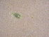  ( - ANT030)  @11 [ ] Unspecified (default): All Rights Reserved  Unspecified Unspecified