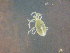  ( - ANT030)  @11 [ ] Unspecified (default): All Rights Reserved  Unspecified Unspecified