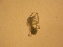  ( - ANT031)  @11 [ ] Unspecified (default): All Rights Reserved  Unspecified Unspecified