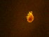  ( - ANT068)  @11 [ ] Unspecified (default): All Rights Reserved  Unspecified Unspecified