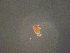  ( - ANT092)  @11 [ ] Unspecified (default): All Rights Reserved  Unspecified Unspecified