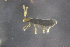 ( - ANTSP832)  @12 [ ] Copyright (2015) University of Waikato University of Waikato