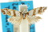  ( - ANTXY0004)  @11 [ ] CreativeCommons - Attribution (2012) ANIC/CBG Photography Group Centre for Biodiversity Genomics