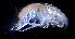  ( - 43681_05)  @12 [ ] Unspecified (default): All Rights Reserved  Unspecified Unspecified
