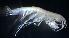  ( - 31768_22)  @13 [ ] Unspecified (default): All Rights Reserved  Unspecified Unspecified