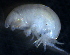  ( - 31776_18.2)  @13 [ ] Unspecified (default): All Rights Reserved  Unspecified Unspecified