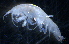  ( - 31776_31.1)  @13 [ ] Unspecified (default): All Rights Reserved  Unspecified Unspecified