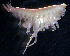  ( - 31776_35.1)  @13 [ ] Unspecified (default): All Rights Reserved  Unspecified Unspecified
