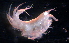  ( - 31784_15)  @13 [ ] Unspecified (default): All Rights Reserved  Unspecified Unspecified