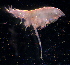  ( - 31794_19.2)  @13 [ ] Unspecified (default): All Rights Reserved  Unspecified Unspecified
