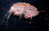  ( - 31794_38.5)  @13 [ ] Unspecified (default): All Rights Reserved  Unspecified Unspecified