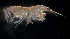  ( - 31803_5.4)  @13 [ ] Unspecified (default): All Rights Reserved  Unspecified Unspecified