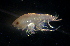  ( - 31803_16)  @13 [ ] Unspecified (default): All Rights Reserved  Unspecified Unspecified