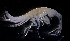  (IschyroceridaeNZD sp. 04 - 31811_14.7)  @14 [ ] Unspecified (default): All Rights Reserved  Unspecified Unspecified