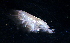  ( - 31825_10.2)  @12 [ ] Unspecified (default): All Rights Reserved  Unspecified Unspecified