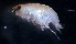  ( - 31825_16)  @12 [ ] Unspecified (default): All Rights Reserved  Unspecified Unspecified